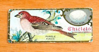 E225 Sen Sen Chiclet Gum - Bird Studies - (2 cards) Cardinal & Purple Finch - G 3