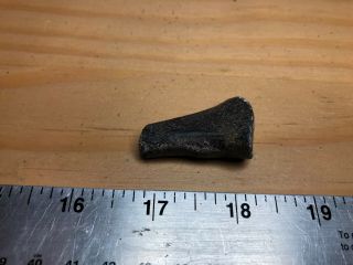 Fossil Mosasaur Paddle Bone From Cretaceous Of Texas (north Sulpher River)