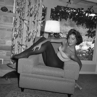 1960s Ron Vogel Negative,  Gorgeous Pin - Up Girl Julie Hart,  Cheesecake,  T239587