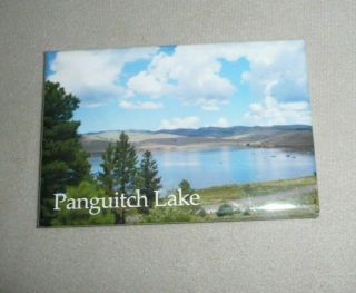 Panguitch Lake Utah Souvenir Refrigerator Kitchen Magnet