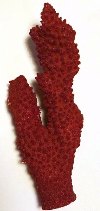 Large 5.  5 " Tall Red Coral Faux Branch 95 Gr Natural Looking Decor Fossil Shell