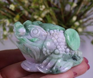 Certified Natural Green（grade A）jade Jadeite Toad Statue 73162h1n5 招财金蟾