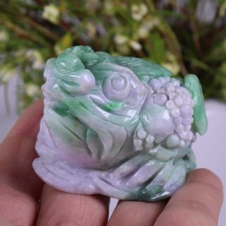 Certified Natural Green（Grade A）jade jadeite Toad statue 73162H1N5 招财金蟾 2