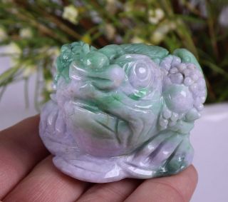 Certified Natural Green（Grade A）jade jadeite Toad statue 73162H1N5 招财金蟾 3