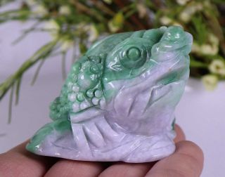 Certified Natural Green（Grade A）jade jadeite Toad statue 73162H1N5 招财金蟾 4