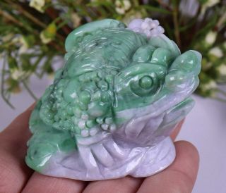 Certified Natural Green（Grade A）jade jadeite Toad statue 73162H1N5 招财金蟾 5