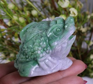 Certified Natural Green（Grade A）jade jadeite Toad statue 73162H1N5 招财金蟾 6