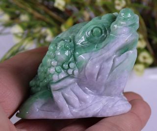 Certified Natural Green（Grade A）jade jadeite Toad statue 73162H1N5 招财金蟾 7