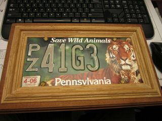 Pa Pennsylvania " Save Wild Animals " License Plate Framed