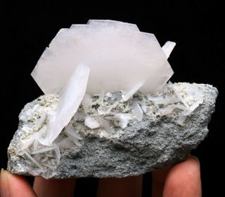 119g Natural White Fish Scaly Fluorescence Calcite Mineral Specimen /china16