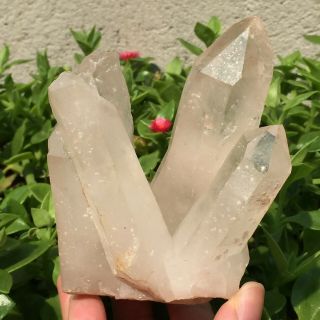 Natural White Quartz Crystal Cluster Mineral Specimen Healing 438g