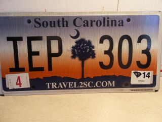 2004 South Carolina License Plate Palm Tree 