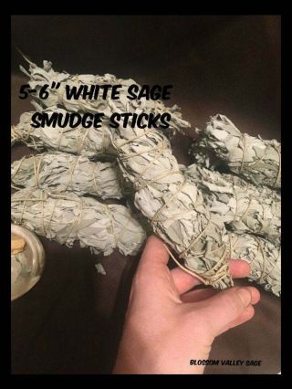 10 White Sage Smudge Sticks 5 