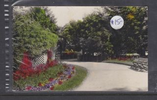 Postcard: 1900s?? Park In Bathurst Nsw