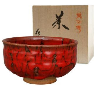 Chawan Japanese Matcha Green Tea Bowl Arita Yaki Red Namako Japan F/s