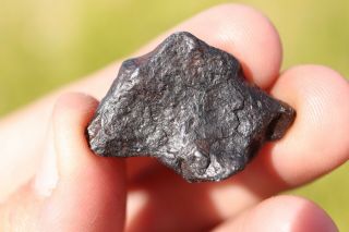 Canyon Diablo Meteorite Individual 6.  6 Grams