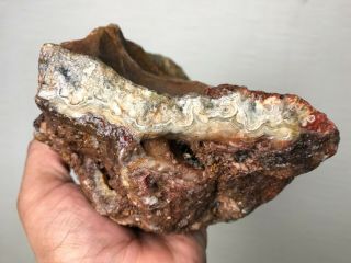AAA TOP QUALITY CRAZY LACE AGATE 4 LBS FROM BRAZIL 2
