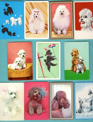 11 Single Swap Playing Cards Precious Poodles Puppy Dogs Some Vintage