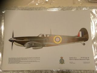Squadron Print No 41 Spitfire Ii.  A Battle Of Britain Memorial Flight