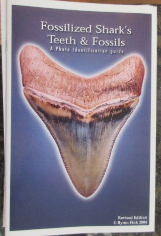 Megalodon Shark Tooth Identification Book Guide With Photos Of Fossil Teeth