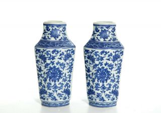 A Chinese Blue and White Porcelain Vases 2