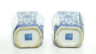 A Chinese Blue and White Porcelain Vases 3