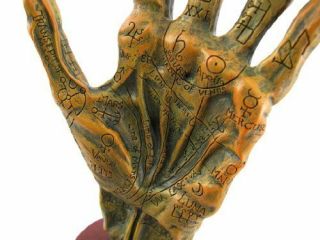 Things2Die4 Alchemy Mummified Palmistry Hand Gothic 4