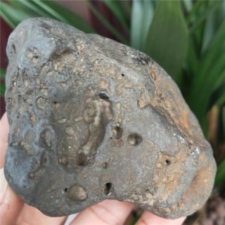 477g Natural Iron Meteorite Specimen From Xinjiang,  China B758