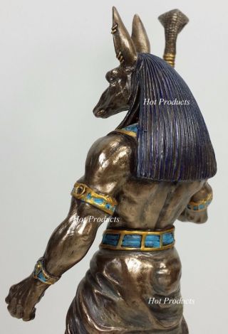 Egyptian Anubis Jackal W/ Cobra Scepter Statue Sculpture Antique Bronze Finish 5