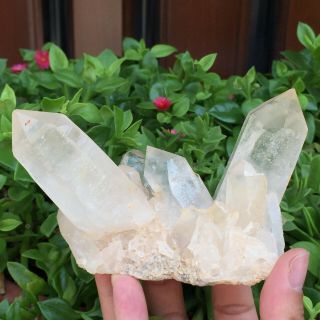 Natural White Quartz Crystal Cluster Mineral Specimen Healing 311g