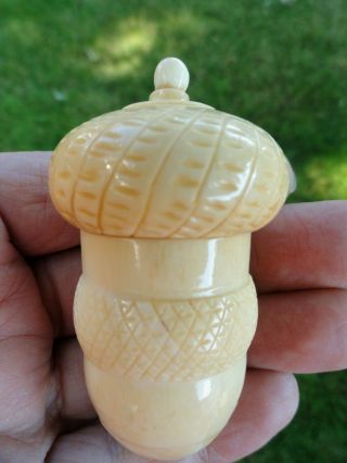 Antique Vict Carved Vegetable Ivory Sewing Acorn Case And Thimble - Incredible