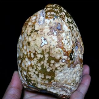 1017g Tumbled Rough Gemstone Specimen Banded Agate Stone Collector Botswana