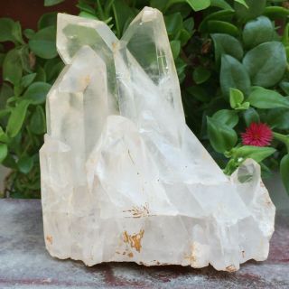 Natural White Quartz Crystal Cluster Mineral Specimen Healing 681g 2