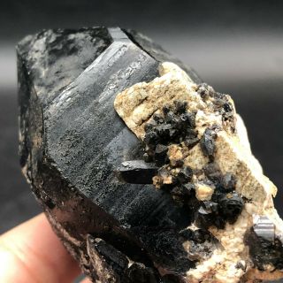 159g Rare Natural Black Quartz Crystal Cluster Mineral Specimen Lyq600