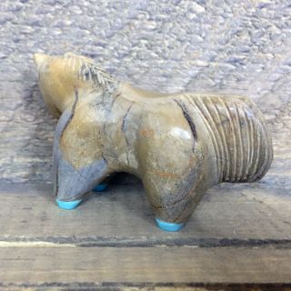 Zuni Fetish - Native American - Zuni Animal Carving - EASYGOING HORSE - Hayes Leekya 4