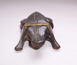 Antique/Vintage FRENCH Carved BOVINE HORN Frog SNUFF BOX 2