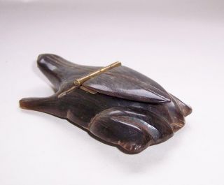 Antique/Vintage FRENCH Carved BOVINE HORN Frog SNUFF BOX 5