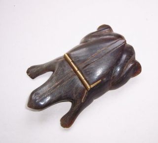 Antique/Vintage FRENCH Carved BOVINE HORN Frog SNUFF BOX 6
