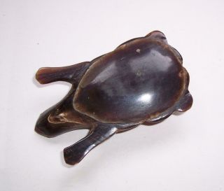 Antique/Vintage FRENCH Carved BOVINE HORN Frog SNUFF BOX 7
