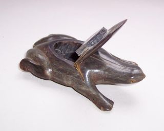 Antique/Vintage FRENCH Carved BOVINE HORN Frog SNUFF BOX 8