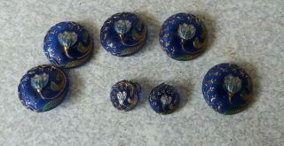 Antique Set Seven Bristol Blue Glass Art Nouveau Tulip Buttons - Lovely Conditio