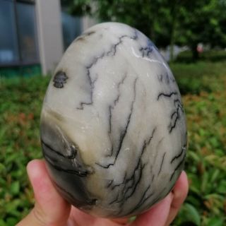 680g Natural Ocean Jasper Egg Quartz Crystal Rough Polished Healing Fca314