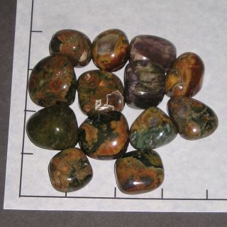Rhyolite,  Rainforest Med - Lg Tumbled 1/2 Lb Bulk Stones,  Opal Australia 12 - 15 Pk