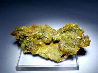 Great - Yellow Wulfenite Crystals & Green Mimetite,  Ojuela Mine Mexico