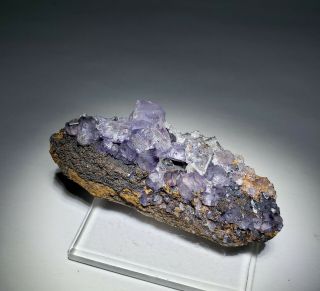 BEAUTY - Fluorescent Pink/Purple Fluorite crystals,  Ojuela mine Mexico 2