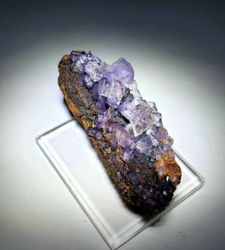 BEAUTY - Fluorescent Pink/Purple Fluorite crystals,  Ojuela mine Mexico 5