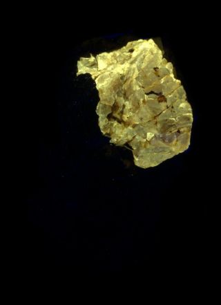 Large Zircon Crystal In Magnetite From Alice Springs,  Harts Range,  Australia 16