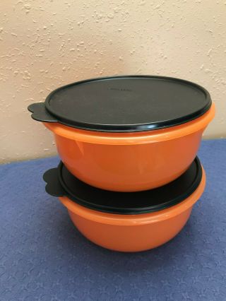 Tupperware Mixing Bowls Set Of 2 - 12 Cups Each
