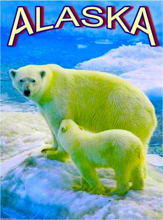 Polar Bear Mother & Cub Alaska United States Travel Advertisement Art Poster