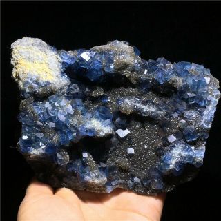 Natural Blue Fluorite Point Quartz Crystal Mineral Specimen Healing Wot2400